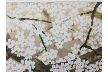 1997年　中島千波　「華三彩　櫻花の不二」　215/300　サイン入り　春爛漫の息吹を感じるシルクスクリーン(桜、風景、版画、エディション入り、額装、外箱付)(R-081670)