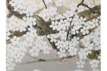 1997年　中島千波　「華三彩　櫻花の不二」　215/300　サイン入り　春爛漫の息吹を感じるシルクスクリーン(桜、風景、版画、エディション入り、額装、外箱付)(R-081670)