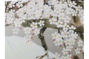 1997年　中島千波　「華三彩　櫻花の不二」　215/300　サイン入り　春爛漫の息吹を感じるシルクスクリーン(桜、風景、版画、エディション入り、額装、外箱付)(R-081670)