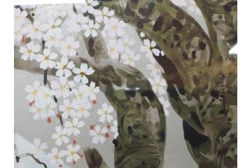 1997年　中島千波　「華三彩　櫻花の不二」　215/300　サイン入り　春爛漫の息吹を感じるシルクスクリーン(桜、風景、版画、エディション入り、額装、外箱付)(R-081670)