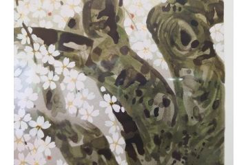 1997年　中島千波　「華三彩　櫻花の不二」　215/300　サイン入り　春爛漫の息吹を感じるシルクスクリーン(桜、風景、版画、エディション入り、額装、外箱付)(R-081670)