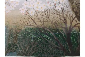 1997年　中島千波　「華三彩　櫻花の不二」　215/300　サイン入り　春爛漫の息吹を感じるシルクスクリーン(桜、風景、版画、エディション入り、額装、外箱付)(R-081670)