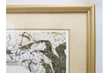 1997年　中島千波　「華三彩　櫻花の不二」　215/300　サイン入り　春爛漫の息吹を感じるシルクスクリーン(桜、風景、版画、エディション入り、額装、外箱付)(R-081670)