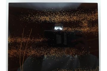 時代物　龍雲堂造　鈴虫　金蒔絵　驪龍珠　静謐な美しさを感じる硯箱(水滴古墨、三日月に竹図、胡開文選煙、神品、銀象嵌、水差し、漆器、木製、漆芸、書道具、木箱付)(R-081674)