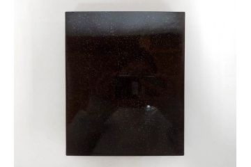 時代物　龍雲堂造　鈴虫　金蒔絵　驪龍珠　静謐な美しさを感じる硯箱(水滴古墨、三日月に竹図、胡開文選煙、神品、銀象嵌、水差し、漆器、木製、漆芸、書道具、木箱付)(R-081674)
