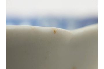 江戸期　古伊万里　染付　渦福　なます皿　4.7寸・4.9寸　お料理を華やかに引き立ててくれる皿6枚セット(花唐草、輪花皿、変形皿、小皿、豆皿、中皿、銘々皿、取り皿、和皿、和食器、四寸七分、四寸九分)(R-081679)
