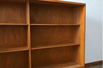 和製アンティーク　美品　引き出し付き　レトロな雰囲気のガラス戸収納棚　(R-081790)