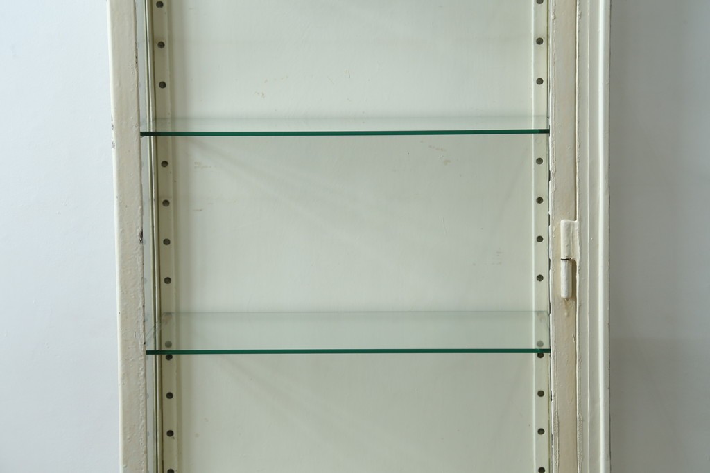 フランスアンティーク　アイアンフレーム　ペイント　縦型　シャビーシックな雰囲気が魅力のメディカルキャビネット　(R-081792)