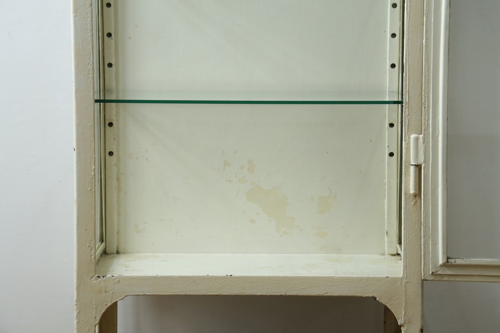 フランスアンティーク　アイアンフレーム　ペイント　縦型　シャビーシックな雰囲気が魅力のメディカルキャビネット　(R-081792)