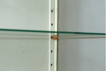 フランスアンティーク　アイアンフレーム　ペイント　縦型　シャビーシックな雰囲気が魅力のメディカルキャビネット　(R-081792)