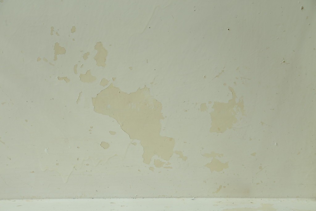 フランスアンティーク　アイアンフレーム　ペイント　縦型　シャビーシックな雰囲気が魅力のメディカルキャビネット　(R-081792)