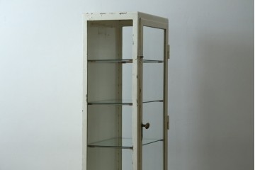 フランスアンティーク　アイアンフレーム　ペイント　縦型　シャビーシックな雰囲気が魅力のメディカルキャビネット　(R-081792)