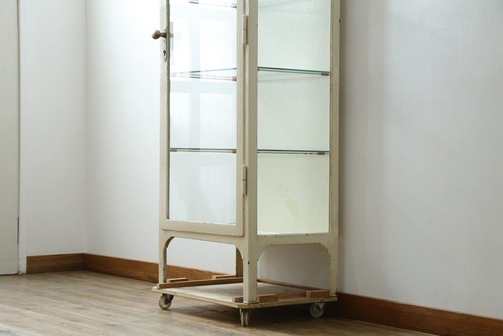 フランスアンティーク　アイアンフレーム　ペイント　縦型　シャビーシックな雰囲気が魅力のメディカルキャビネット　(R-081792)