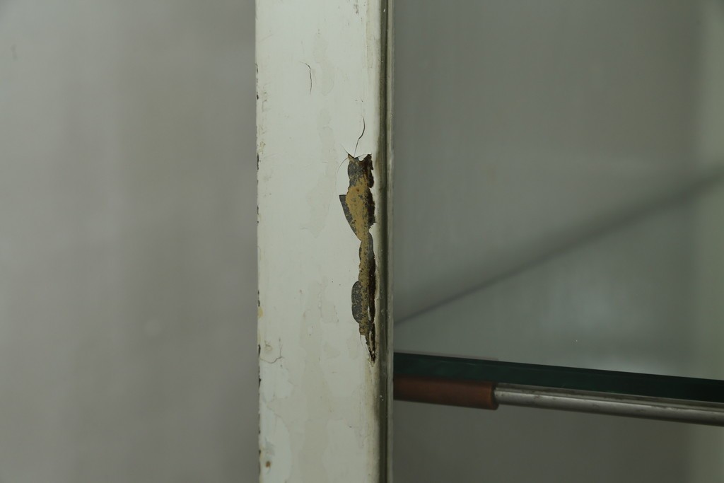 フランスアンティーク　アイアンフレーム　ペイント　縦型　シャビーシックな雰囲気が魅力のメディカルキャビネット　(R-081792)