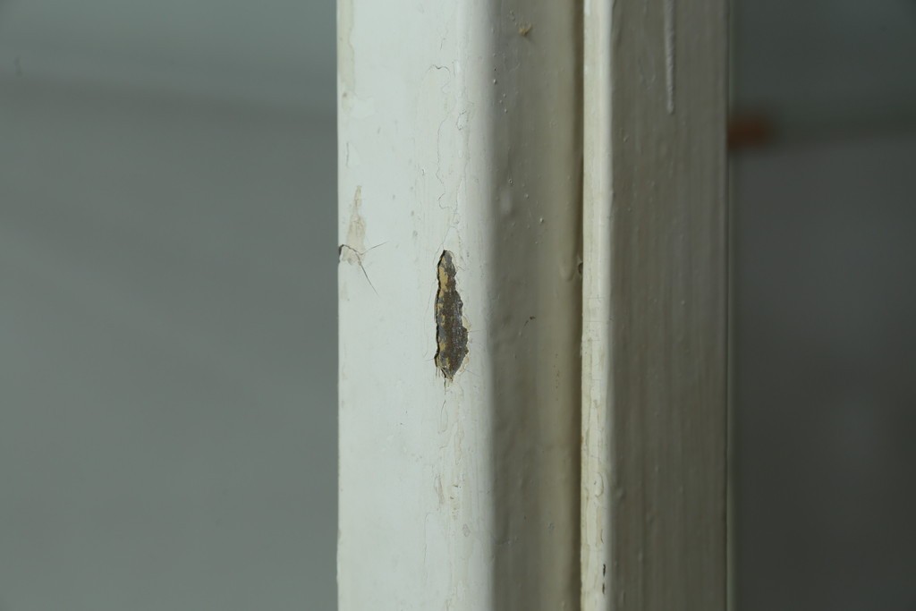 フランスアンティーク　アイアンフレーム　ペイント　縦型　シャビーシックな雰囲気が魅力のメディカルキャビネット　(R-081792)