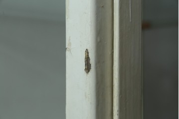 フランスアンティーク　アイアンフレーム　ペイント　縦型　シャビーシックな雰囲気が魅力のメディカルキャビネット　(R-081792)