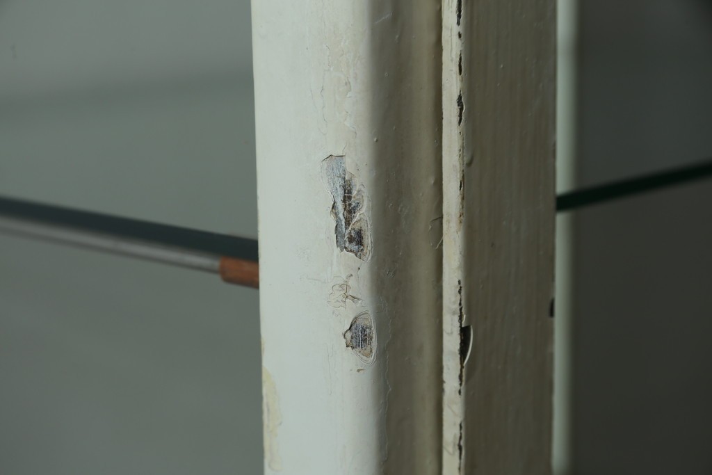 フランスアンティーク　アイアンフレーム　ペイント　縦型　シャビーシックな雰囲気が魅力のメディカルキャビネット　(R-081792)