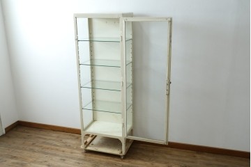 フランスアンティーク　アイアンフレーム　ペイント　縦型　シャビーシックな雰囲気が魅力のメディカルキャビネット　(R-081792)