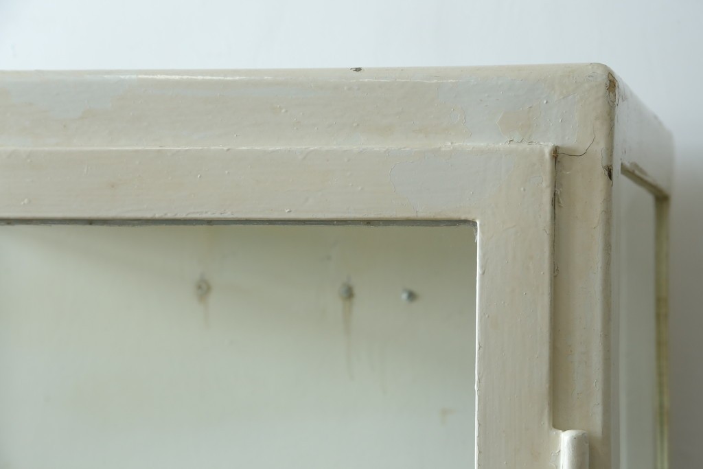 フランスアンティーク　アイアンフレーム　ペイント　縦型　シャビーシックな雰囲気が魅力のメディカルキャビネット　(R-081792)