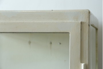 フランスアンティーク　アイアンフレーム　ペイント　縦型　シャビーシックな雰囲気が魅力のメディカルキャビネット　(R-081792)