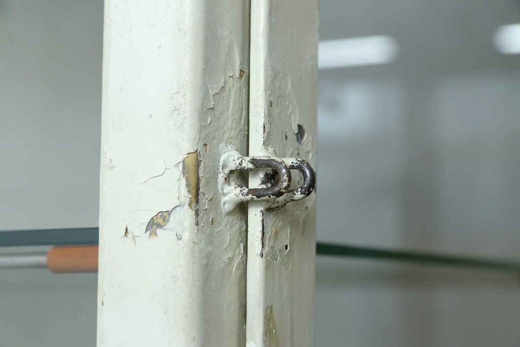 フランスアンティーク　アイアンフレーム　ペイント　縦型　シャビーシックな雰囲気が魅力のメディカルキャビネット　(R-081792)