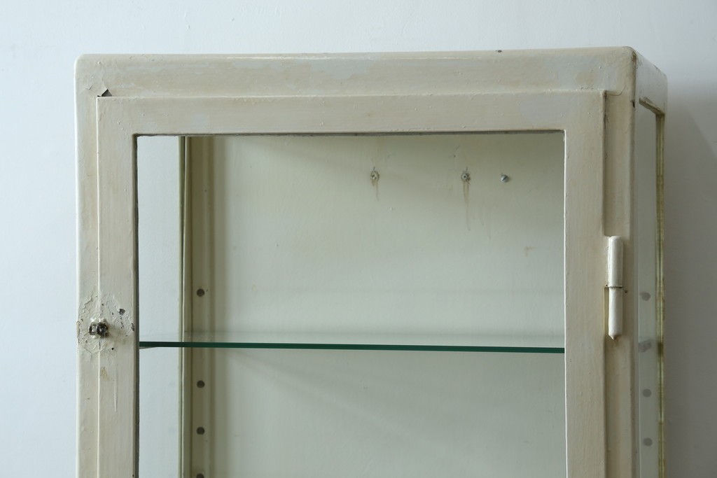 フランスアンティーク　アイアンフレーム　ペイント　縦型　シャビーシックな雰囲気が魅力のメディカルキャビネット　(R-081792)