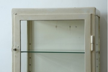 フランスアンティーク　アイアンフレーム　ペイント　縦型　シャビーシックな雰囲気が魅力のメディカルキャビネット　(R-081792)