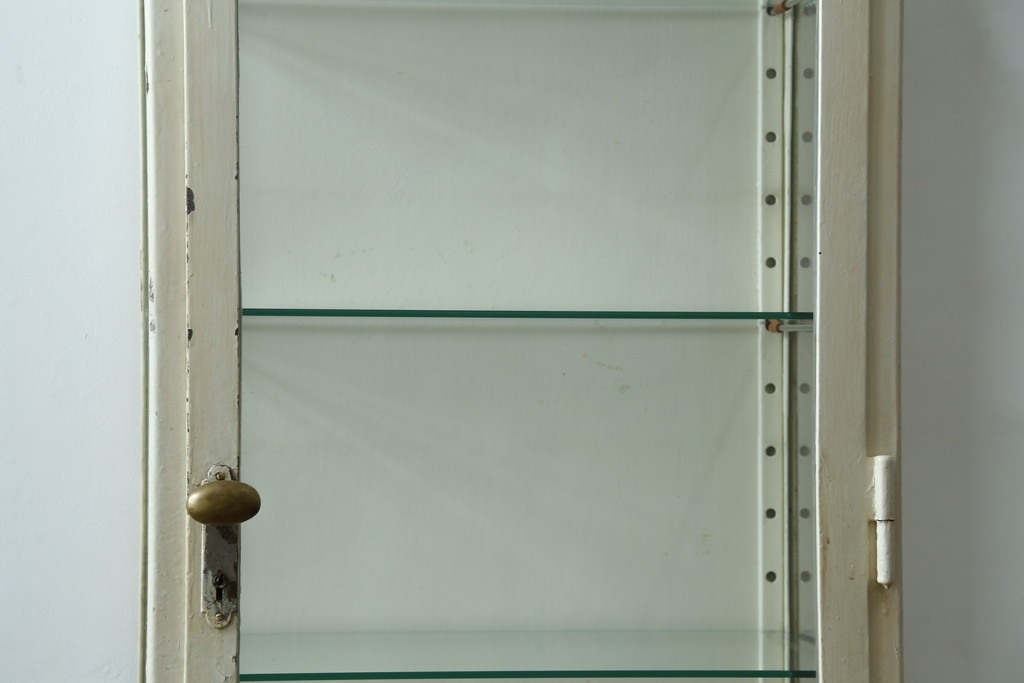 フランスアンティーク　アイアンフレーム　ペイント　縦型　シャビーシックな雰囲気が魅力のメディカルキャビネット　(R-081792)