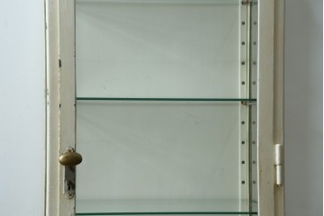 フランスアンティーク　アイアンフレーム　ペイント　縦型　シャビーシックな雰囲気が魅力のメディカルキャビネット　(R-081792)