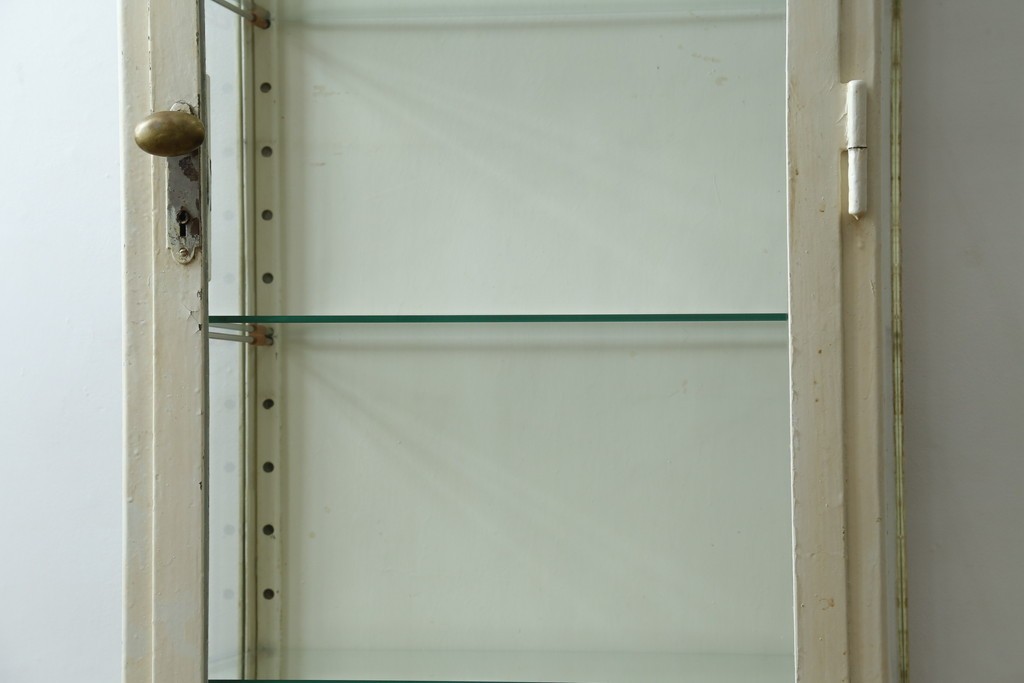 フランスアンティーク　アイアンフレーム　ペイント　縦型　シャビーシックな雰囲気が魅力のメディカルキャビネット　(R-081792)