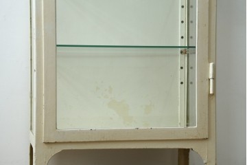 フランスアンティーク　アイアンフレーム　ペイント　縦型　シャビーシックな雰囲気が魅力のメディカルキャビネット　(R-081792)