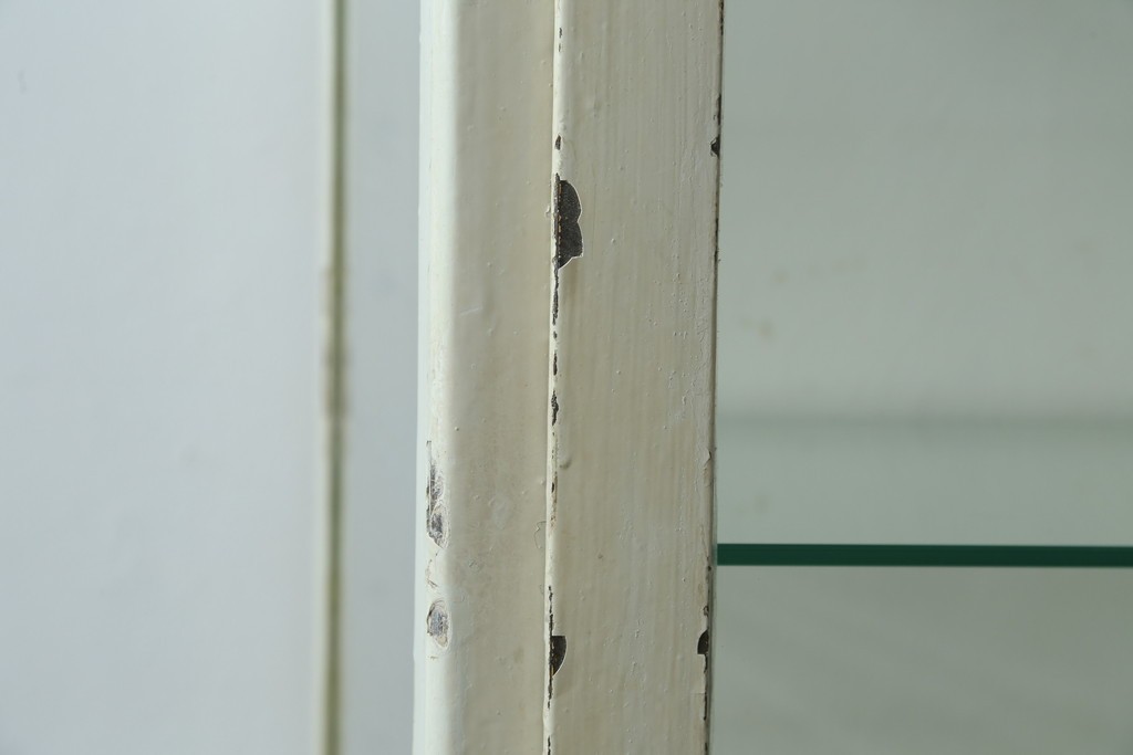 フランスアンティーク　アイアンフレーム　ペイント　縦型　シャビーシックな雰囲気が魅力のメディカルキャビネット　(R-081792)