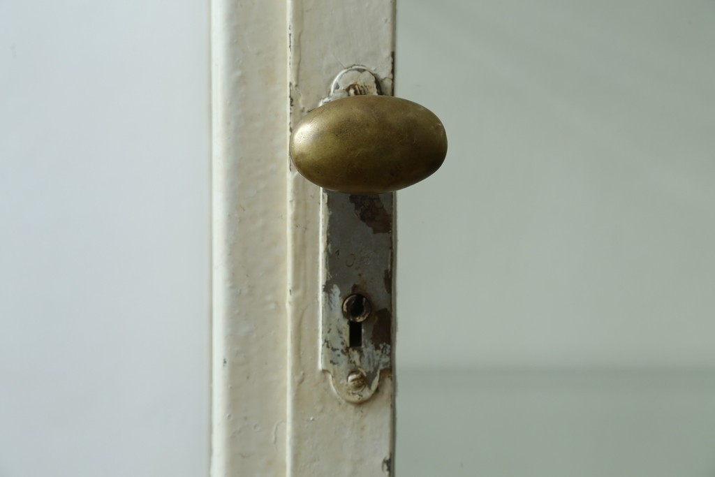 フランスアンティーク　アイアンフレーム　ペイント　縦型　シャビーシックな雰囲気が魅力のメディカルキャビネット　(R-081792)