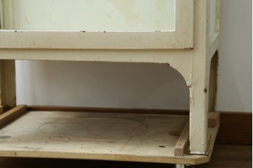 フランスアンティーク　アイアンフレーム　ペイント　縦型　シャビーシックな雰囲気が魅力のメディカルキャビネット　(R-081792)