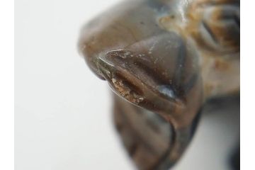 カバ　色々なカラーが楽しめる置物9点セット(彫刻、動物、アニマル、オブジェ、ディスプレイ)(R-081869)
