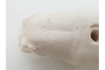 イギリス　BMP(大英博物館?)　カバ　存在感のある置物3点セット(青いカバ、エジプト、動物、アニマル、オブジェ、ディスプレイ)(R-081871)