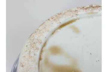 江戸〜明治期　古伊万里　錦地　色絵　高さ 約57cm　華麗な色付が美しい花瓶(松、菊、花鳥、鳳凰、人物、風景、獅子、花生、花入、花器、金彩、二尺、共箱付)(R-081878)