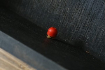 和製ビンテージ　CITIZEN(シチズン)　30DAY　昭和レトロな雰囲気漂う掛け時計　(R-081981)