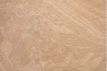和製アンティーク　希少サイズ　超特大!!　2尺7寸　2.7寸　約102cm　木地仕上げ　杢目の良い白木こね鉢(こね鉢、ディスプレイボウル、店舗什器)(R-082085)