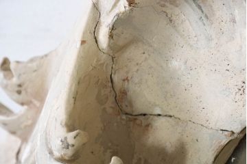 フランスアンティーク　超特大　高さ2.6メートル　迫力のある彫刻のブロカントフレンチミラー(ウォールミラー、姿見、壁掛け鏡、店舗什器)(R-082090)
