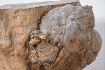 和製アンティーク　こぶ木　自然が彫り出した一点ものの花台(瘤木、こぶぎ、展示台、オブジェ、店舗什器、ディスプレイ)(R-082098)