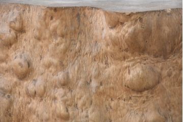 和製アンティーク　こぶ木　自然が彫り出した一点ものの花台(瘤木、こぶぎ、展示台、オブジェ、店舗什器、ディスプレイ)(R-082098)