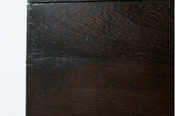 和製アンティーク　希少　上手物　鉄刀木(タガヤサン)　レトロな雰囲気が素敵な作りの良い薬箱　(R-082100)