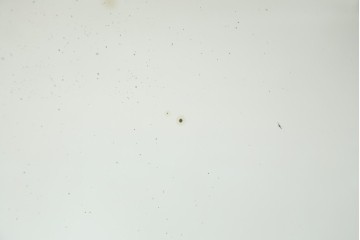 フランスアンティーク　最高級!!　真鍮(しんちゅう)フレームがおしゃれな等身サイズの三面鏡　(R-082103)