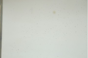 フランスアンティーク　最高級!!　真鍮(しんちゅう)フレームがおしゃれな等身サイズの三面鏡　(R-082103)