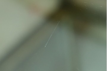 フランスアンティーク　高級品　真鍮(しんちゅう)フレーム　曲げガラス天板のおしゃれなガラスケース　(R-082104)