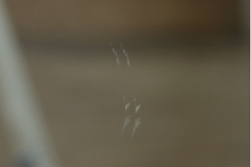 フランスアンティーク　高級品　真鍮(しんちゅう)フレーム　曲げガラス天板のおしゃれなガラスケース　(R-082104)