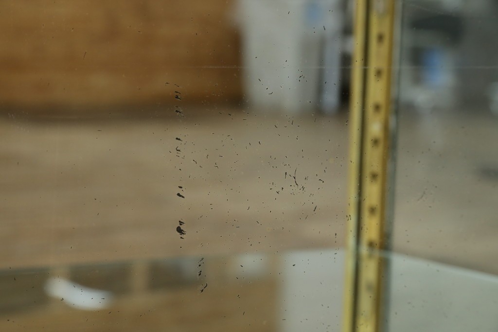 フランスアンティーク　高級品　真鍮(しんちゅう)フレーム　曲げガラス天板のおしゃれなガラスケース　(R-082104)