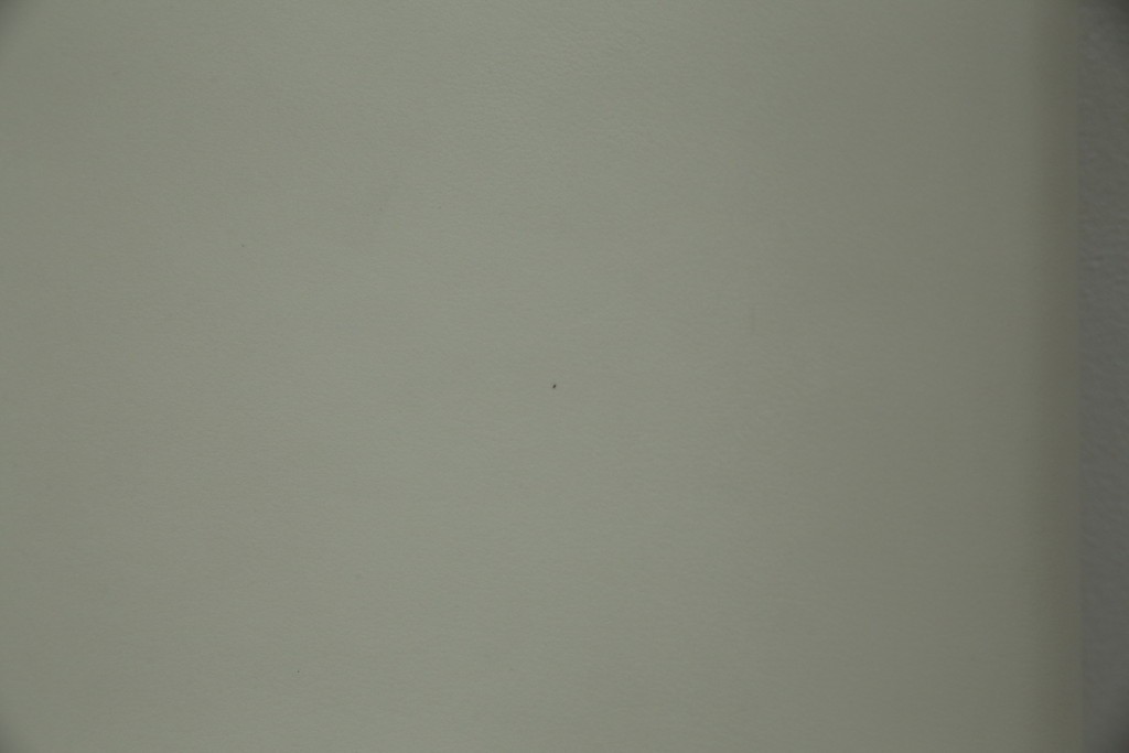 中古　B&B Italia(ビーアンドビー イタリア)　SEDIA SOLO(セディア ソロ)　Antonio Citterio(アントニオチッテリオ)　本革(レザー)　シンプルで無駄のないフォルムのダイニングチェア　定価約17万円相当　(R-082128)