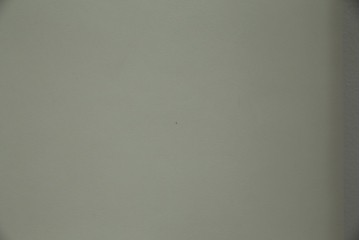 中古　B&B Italia(ビーアンドビー イタリア)　SEDIA SOLO(セディア ソロ)　Antonio Citterio(アントニオチッテリオ)　本革(レザー)　シンプルで無駄のないフォルムのダイニングチェア　定価約17万円相当　(R-082128)